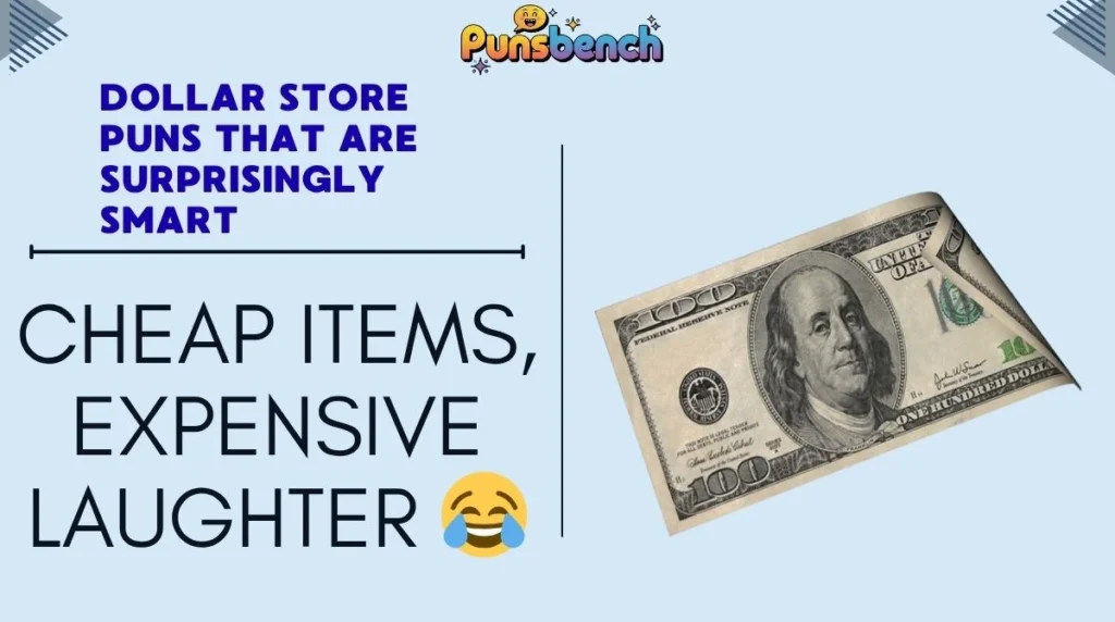 Dollar Store Puns That Are Surprisingly Smart