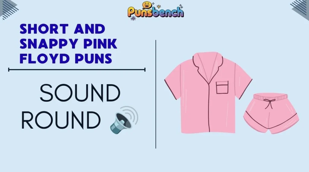 Short and Snappy Pink Floyd Puns