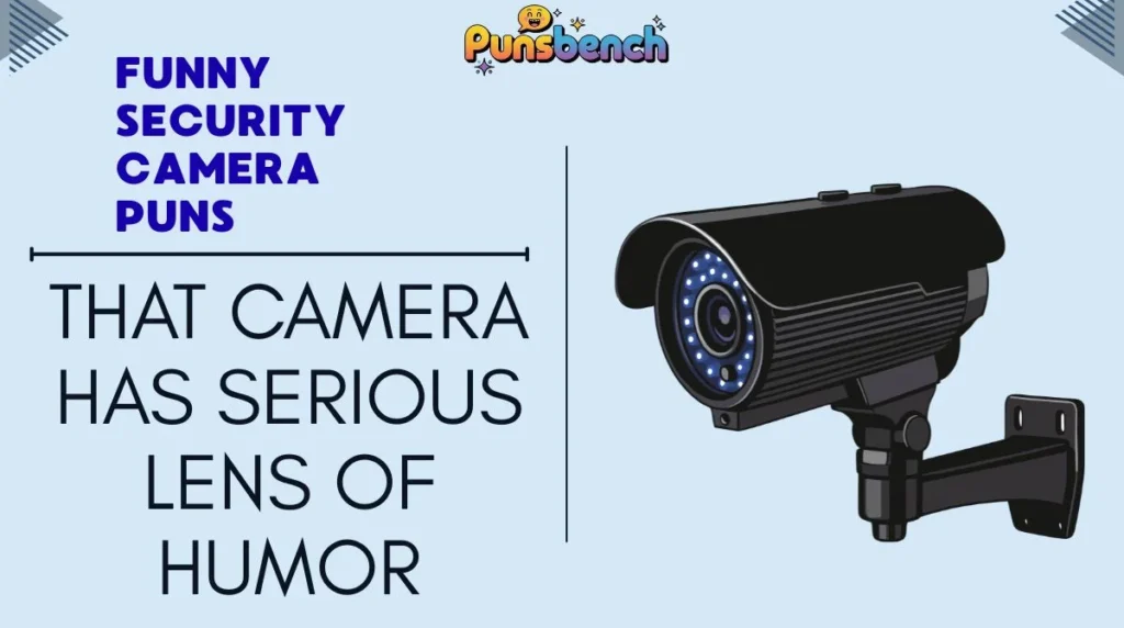 Funny Security Camera Puns
