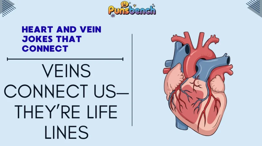 Heart and Vein Jokes That Connect