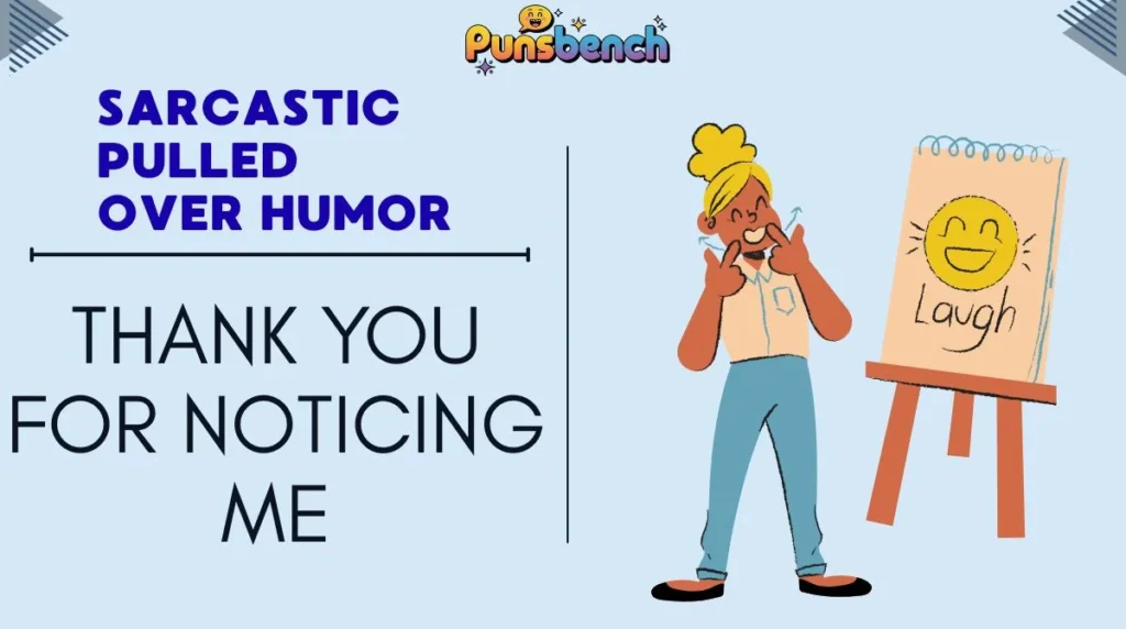Sarcastic Pulled Over Humor