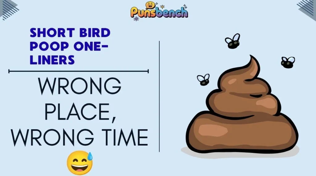 Short Bird Poop One-Liners