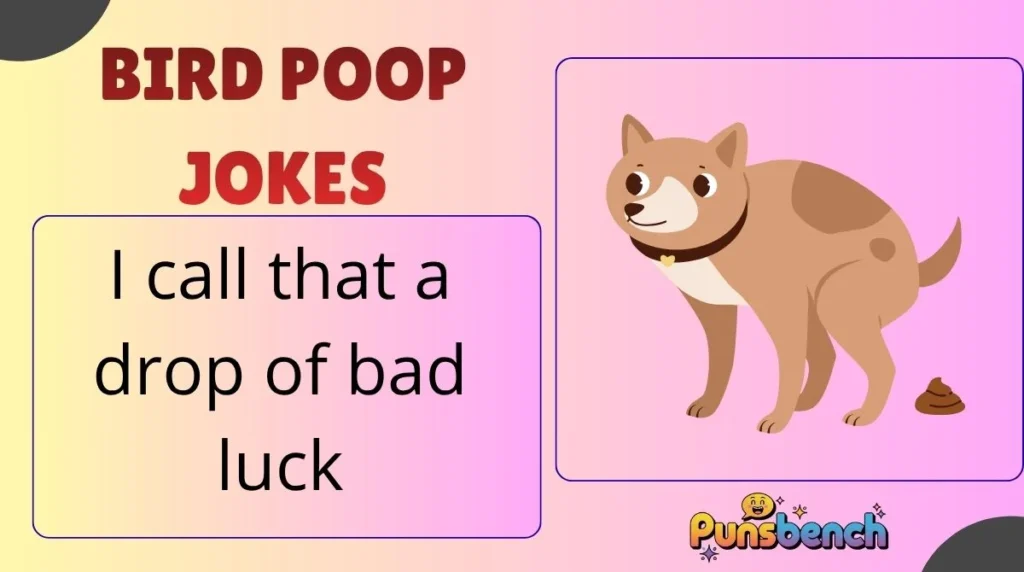 Bird Poop Jokes
